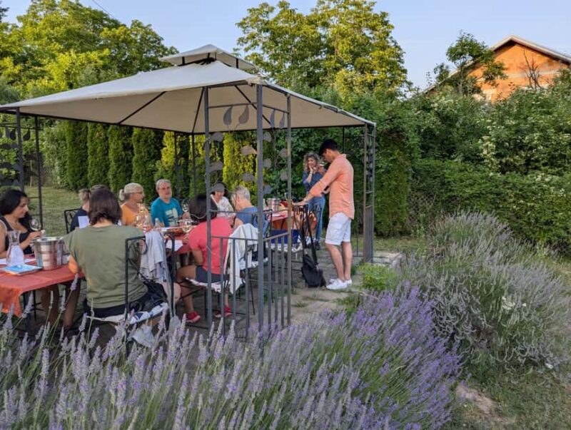 Novi Sad: Fruka Gora Wine Tasting with Local Bites - Discovering Novi Sads Wine Heritage