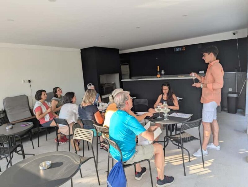 Novi Sad: Fruka Gora Wine Tasting with Local Bites - The Wines and Food Pairings