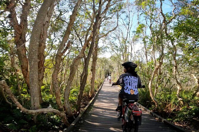 Novotel North E-Bike Tour - The Value of the Tour