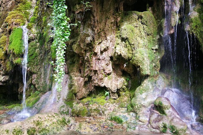 NP Krka waterfalls & Wine tasting - Private day tour from Split - FAQ