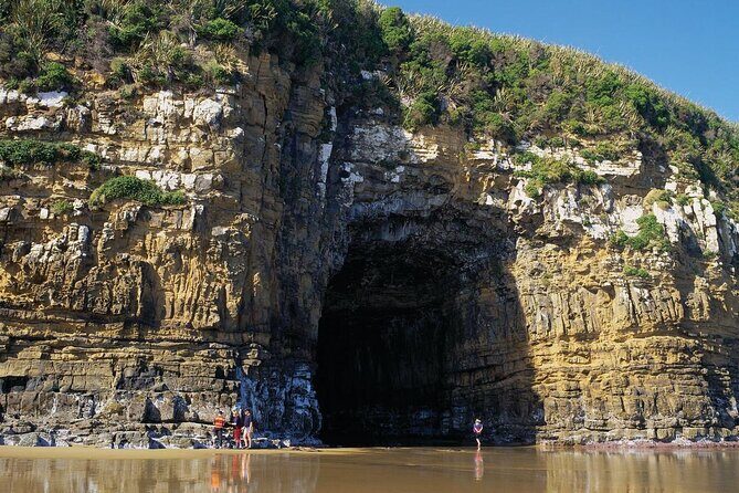 Nugget Point and Cathedral Caves Private Tour from Dunedin - Final Thoughts: Is This Tour Right for You?