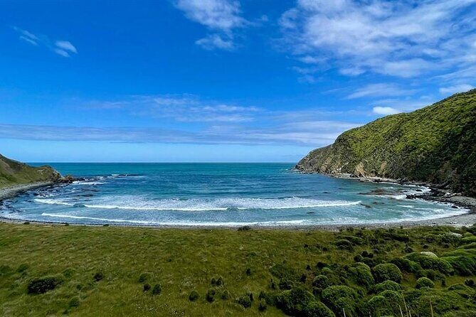 Nugget Point and Cathedral Caves Private Tour from Dunedin - In The Sum Up