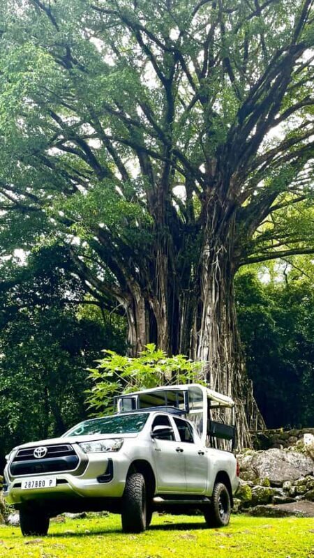 Nuku Hiva: 3 Valleys Tour, Taipivai, Hatiheu, and Aakapa - An In-Depth Look at the Nuku Hiva 3 Valleys Tour