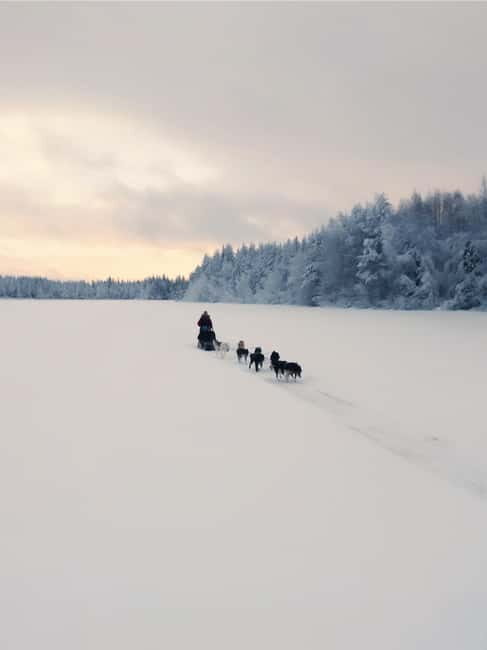 Nulkki Husky Adventure - Key Points