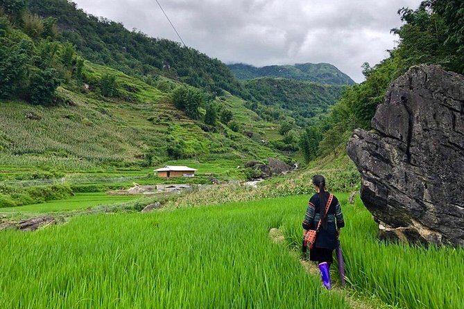 Number one top rated ethical cultural trekking and homestay by ETHOS - An In-Depth Look at the 2-Day Sapa Trek Experience