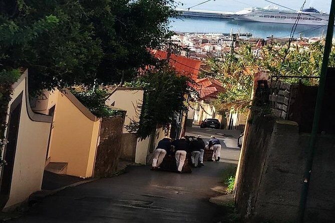 Nuns Valley/Monte with sledge ride. - A Thorough Look at the Tour