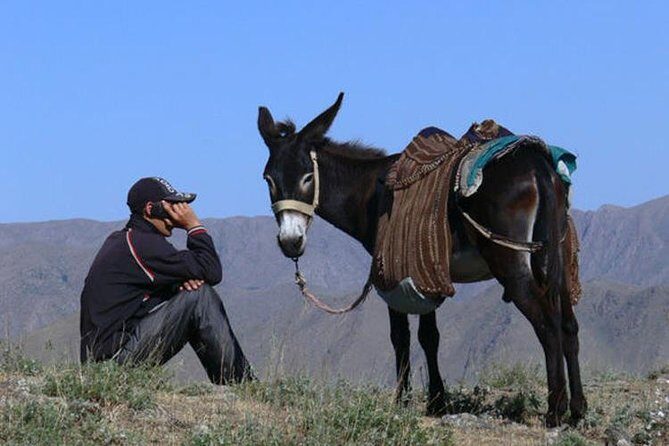 Nuratau home stay observe and live the Uzbek rural life - Is This Tour Right for You?