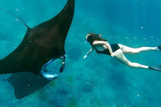 Nusa Lembongan Island and Snorkeling Adventure - The Sum Up