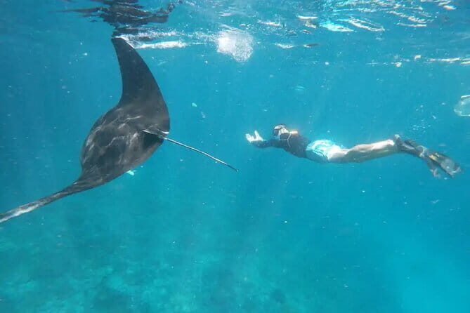 Nusa Lembongan Snorkeling with Manta Bay & Island Tour from Bali - Key Points