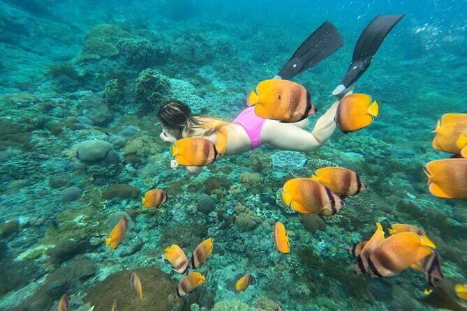 Nusa Lembongan Snorkeling with Manta Bay & Island Tour from Bali - Who Is This Tour Best For?