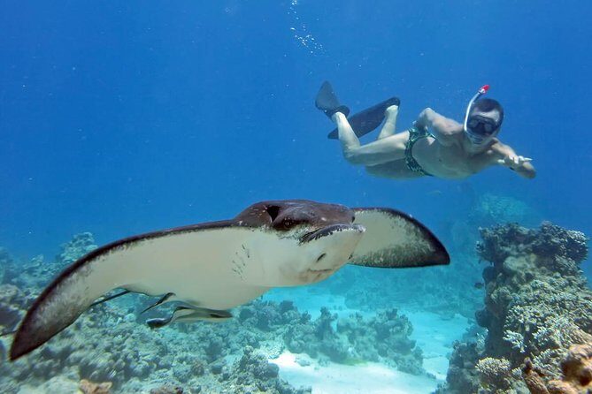 Nusa Penida Day Tour - Why This Tour Offers Good Value