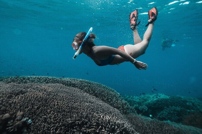 Nusa Penida day trip: boat, 4 snorkeling, Manta rays & Land tour - An In-Depth Look at the Nusa Penida Day Trip