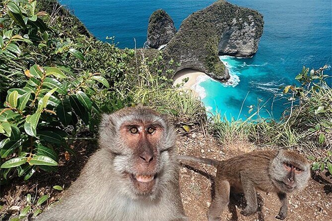 Nusa Penida day trip: boat, 4 snorkeling, Manta rays & Land tour - Final Thoughts
