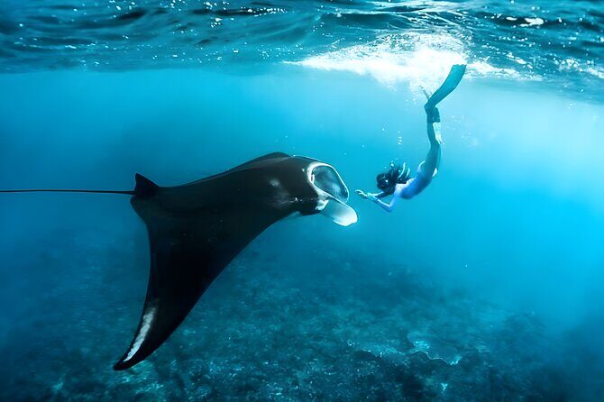 Nusa Penida Island Beach Tour With Snorkeling - Departure From Bali Island - Discover the Highlights of the Nusa Penida Tour
