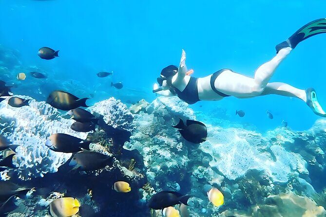 Nusa Penida Island Beach Tour With Snorkeling - Departure From Bali Island - The Sum Up