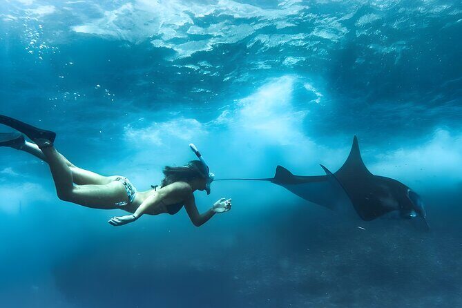 Nusa Penida Island Beach Tours with Snorkeling From Bali - Diving into the Experience: A Complete Breakdown