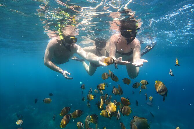 Nusa Penida Island Beach Tours with Snorkeling From Bali - What’s the Real Value?