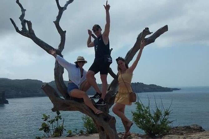 Nusa Penida One Day Tour All Inclusive - A Detailed Look at the Nusa Penida One Day Tour