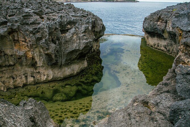 Nusa Penida One Day Trip to Instagrammable Spot by Penidago - Why Choose This Tour?