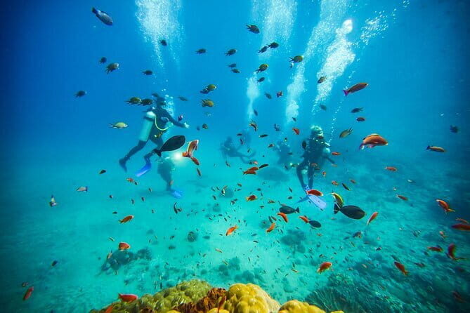 Nusa Penida Private Diving Tour by Speedboat - Who Is This Tour Best For?