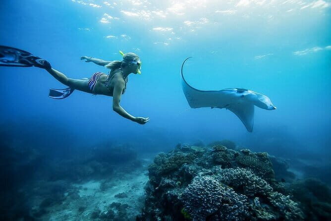 Nusa Penida Private Snorkeling and Land Tour Start from Bali - An In-Depth Look at the Tour