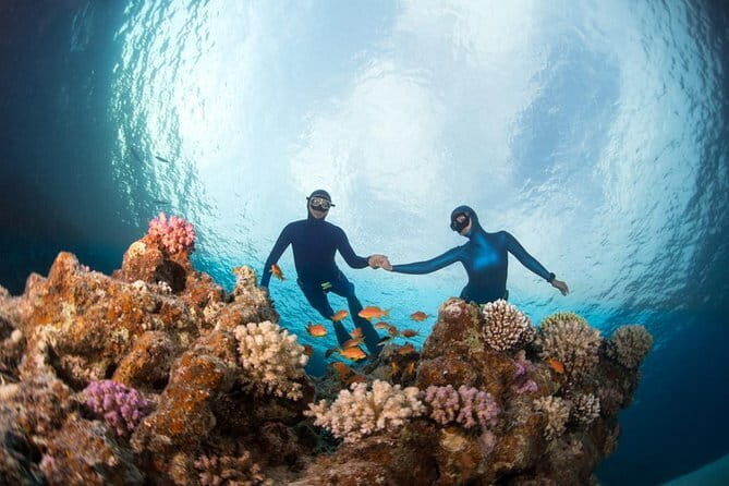 Nusa Penida Snorkeling Trip Manta Point Gamat Bay and Wall Bay - The Sum Up
