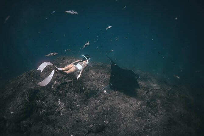 Nusa Penida Snorkeling Trip Manta Point Gamat Bay and Wall Bay - FAQ