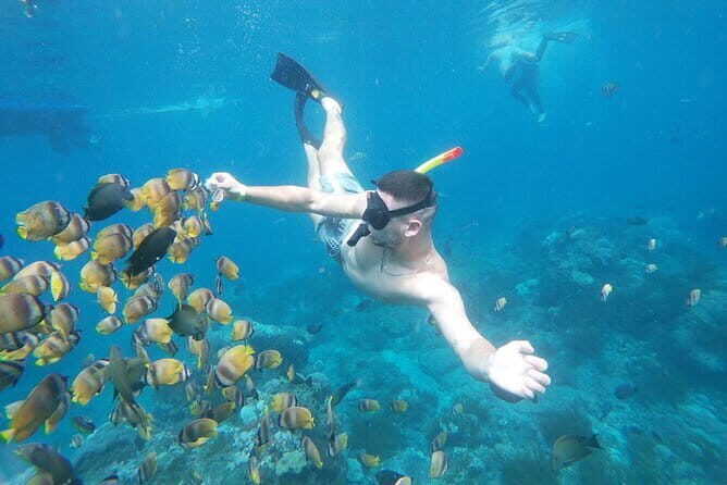 Nusa Penida Snorkling Package - Key Points