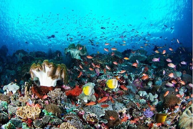 Nusa Penida Snorkling Package - The Itinerary: What Makes Each Stop Special