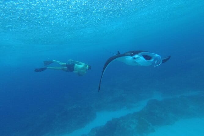 Nusa Penida Snorkling Package - Why This Tour Is Worth Considering