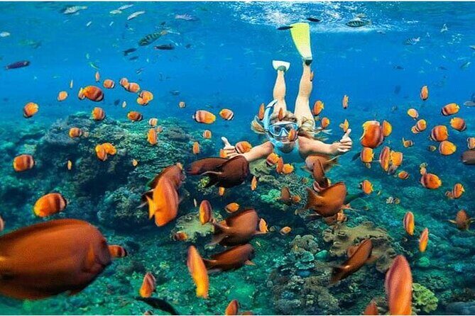 Nusa Penida Trip with Snorkeling all-Inclusive - Who Is This Tour Best Suited For?