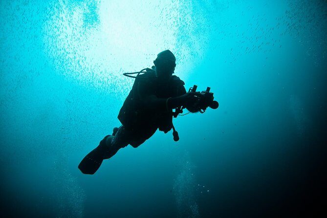 Nusa Penida Two Dives Trip for Certified Divers - An Introduction to the Nusa Penida Two Dives Experience