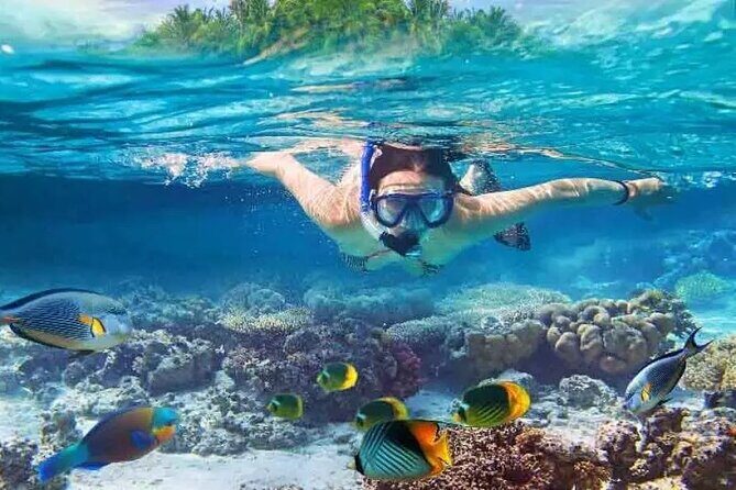 Nusa Penida West trip with snorkeling at 3 spot with Free Meals - Nusa Penida West Tour: What You Can Expect