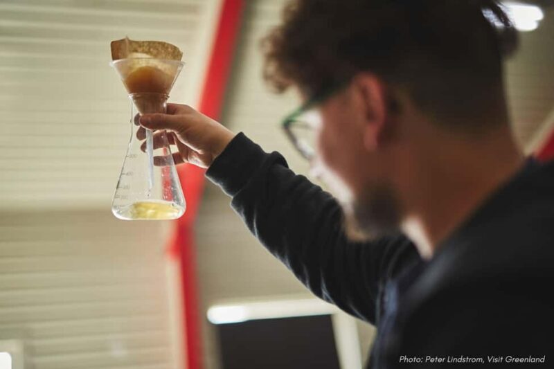 Nuuk: Greenlandic Beers, Burgers and Samplers Tasting Tour - The Sum Up: Is It Worth It?