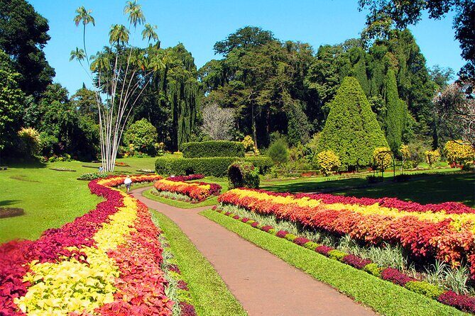 Nuwara Eliya City Tour - Why This Tour Is a Good Choice