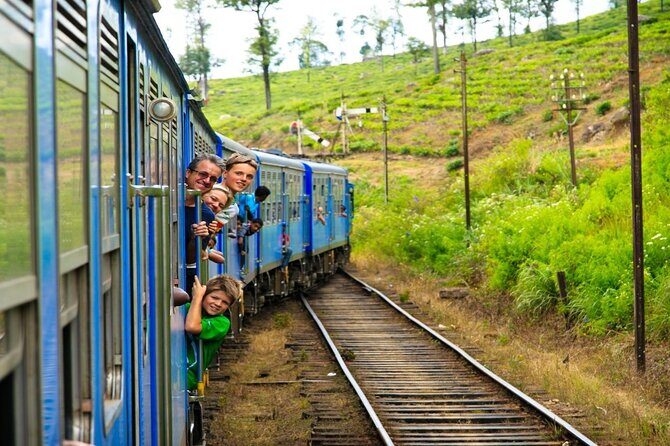 Nuwara Eliya from Kandy by Train - A Deep Dive into the Day: What You Can Expect