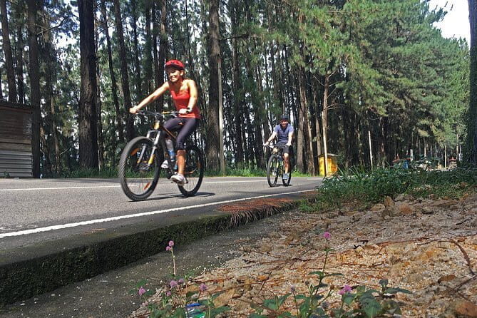 Nuwara Eliya Highlands Cycling Tour from Kandy - A Detailed Look at the Sri Lanka Highlands Cycling Experience