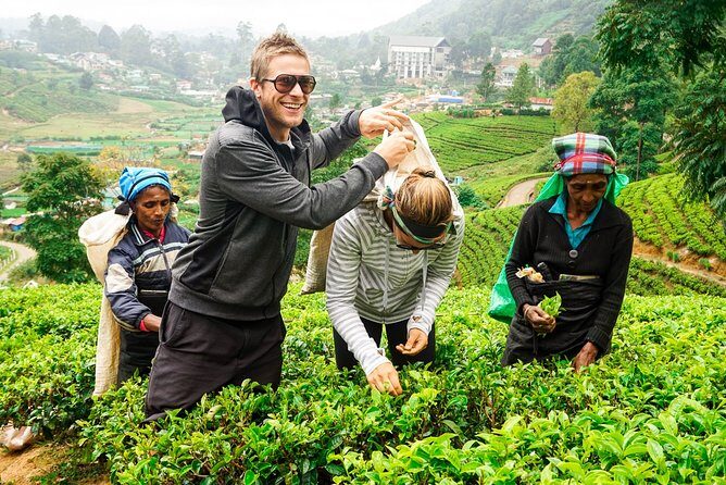 Nuwara Eliya Highlands from Kandy - Exploring the Nuwara Eliya Highlands from Kandy: An In-Depth Review