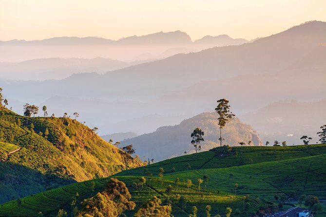 Nuwara Eliya Highlands from Kandy - Key Points