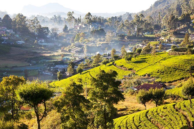 Nuwara Eliya Highlands from Kandy - Final Thoughts: Is It Worth It?