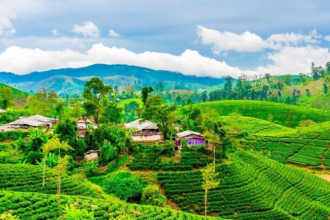 Nuwara Eliya journey by Train and car (2 Days with 01 Night) - Authentic Insights from Travelers