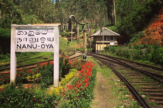 Nuwara Eliya journey by Train and car (2 Days with 01 Night) - Final Thoughts: Is This Tour Right for You?