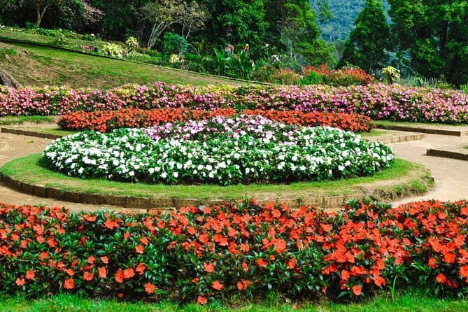 Nuwara Eliya Private Day Trip from Mirissa - Exploring the Itinerary in Detail