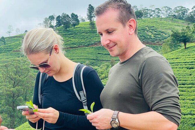 Nuwara Eliya Tea factory,plantation and Water Falls Tour - FAQ