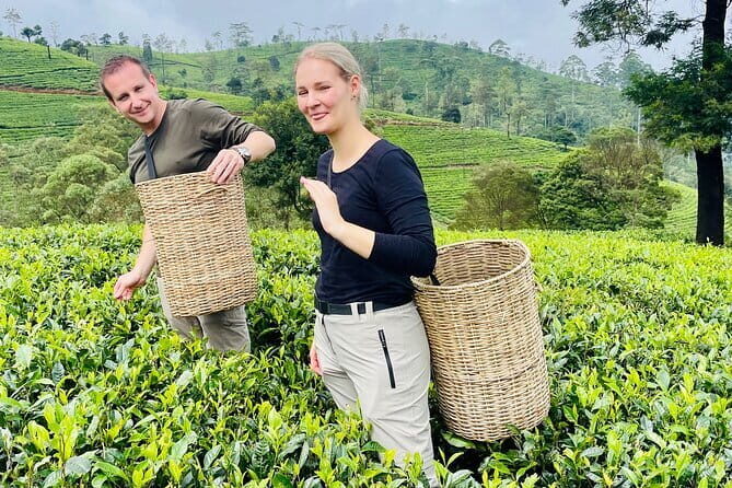 Nuwara Eliya Tours - Who Should Consider This Tour?