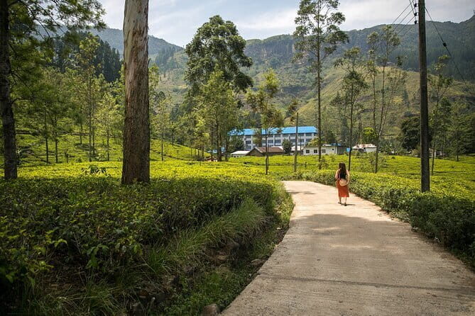 Nuwara Eliya Tours - Final Thoughts