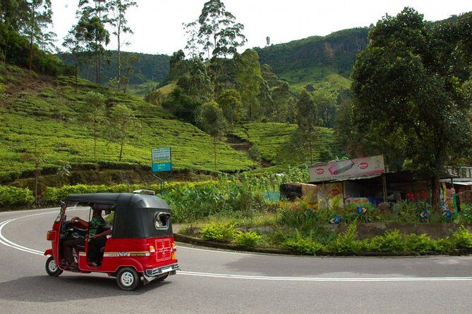 Nuwara Eliya Tuk Tuk Adventure - Exploring Nuwara Eliya in a Tuk-Tuk: A Practical and Playful Approach