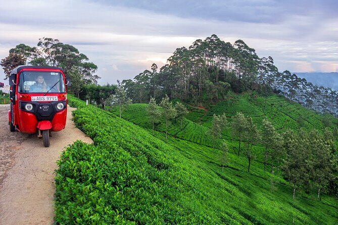 Nuwara Eliya Tuk Tuk Adventure - FAQ