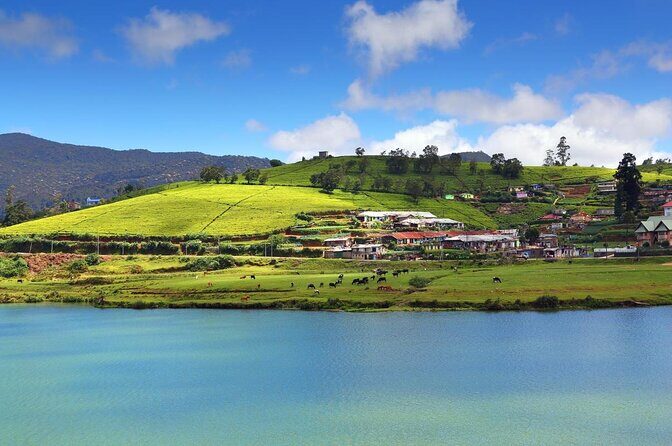 Nuwaraeliya Day Tour & Kithulgala Water Rafting from Kandy,Colombo or Ella - Key Points