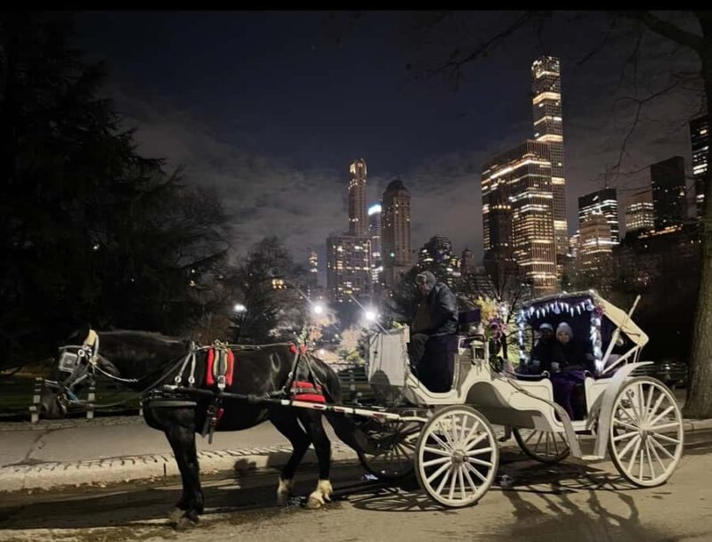 NYC: Amazing Central Park Horse and Carriage Ride with Guide - An In-Depth Look at the Experience